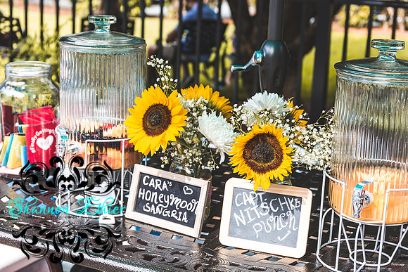 Teceno Nitschke I Do BBQ | August 15, 2021 | Shannon Ethier Photography | 6764