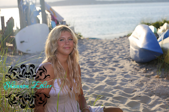 Hayven-15201520