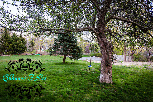 47 Diandy Road Sagamore Beach-Airbnb King-Shannon Ethier Photography-0113