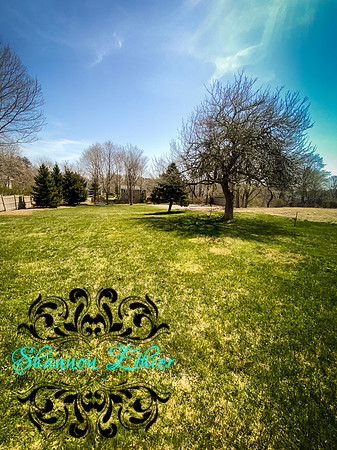 47 Diandy Road Sagamore Beach-Airbnb King-Shannon Ethier Photography-2854