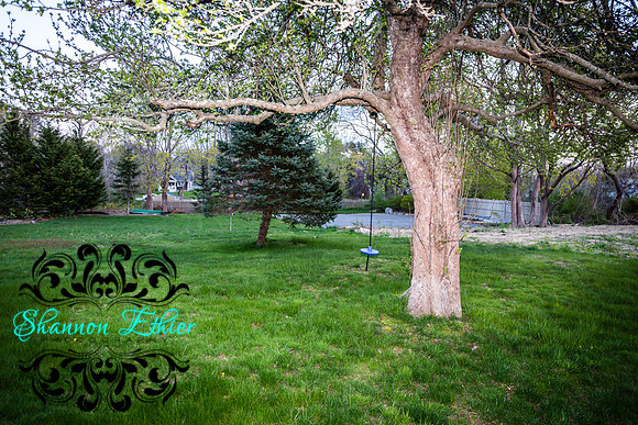 47 Diandy Road Sagamore Beach-Airbnb King-Shannon Ethier Photography-0114