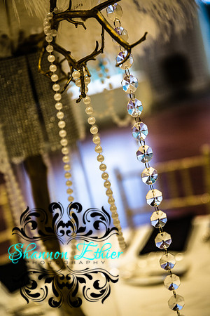 Junior Prom 2017 Willowbend Candids-9