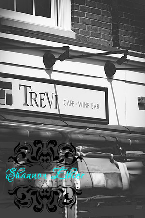 Howard Wedding Candids 4.23.2017 Trevi-0176