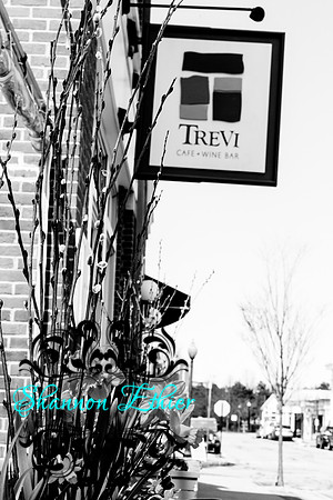 Howard Wedding Candids 4.23.2017 Trevi-0183-2