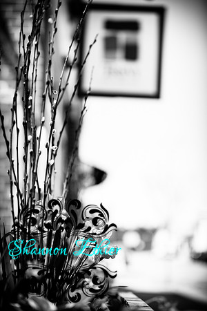 Howard Wedding Candids 4.23.2017 Trevi-0184-2