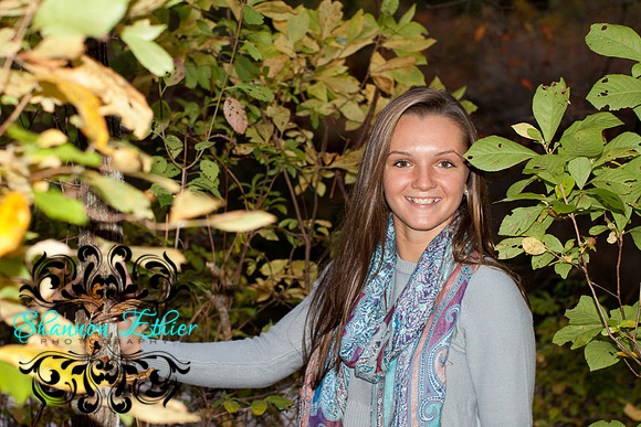 shelby 2015 bhs-5
