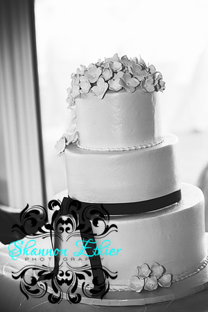 Befores Crane and Peterson Wedding 6.10.2017-0905