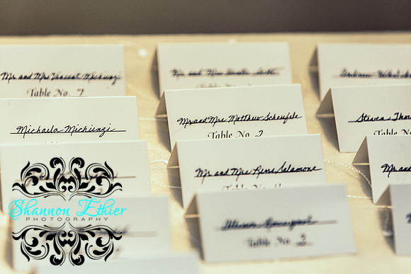 Befores Crane and Peterson Wedding 6.10.2017-0910