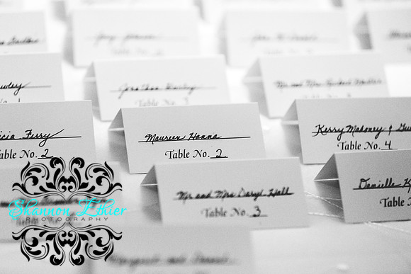 Befores Crane and Peterson Wedding 6.10.2017-0913