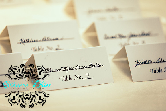 Befores Crane and Peterson Wedding 6.10.2017-0915