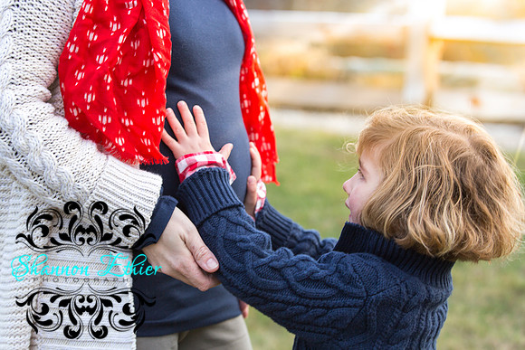 Caldwell Family Love December 2017-9074