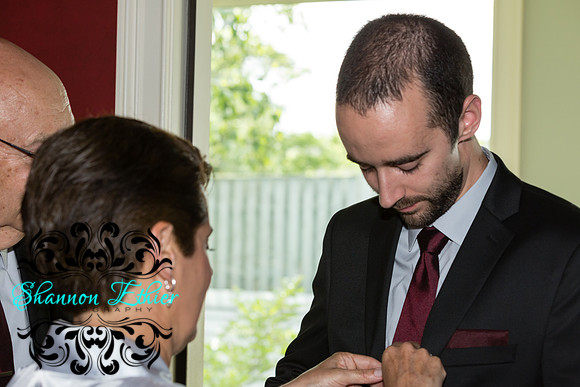 Before The Harder Wedding 7-1-2017-4188