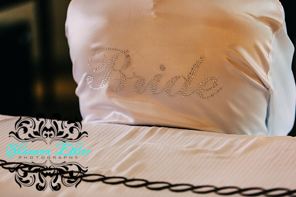 Before The Harder Wedding 7-1-2017-4241