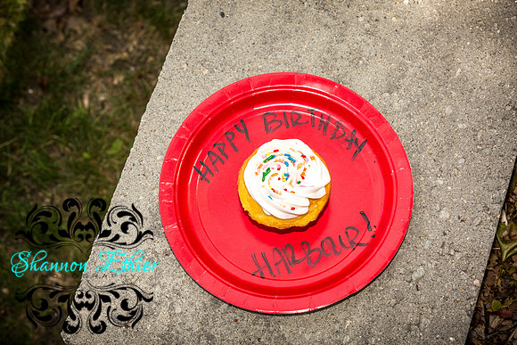 Trey and Aidan's 5th and 7th Birthday Party Summer 2018-9976