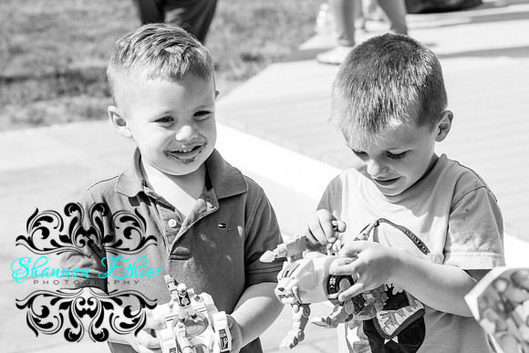 Trey's 4th and Aidan 6th Birthday Party June 2017-2375-2