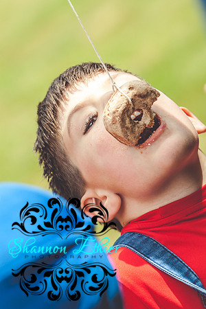 Trey's 4th & Aidan's 6th Birthday Party Sagamore Beach June 2017-2278