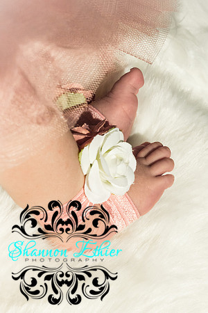 The Ellis Babies May 2018-8393