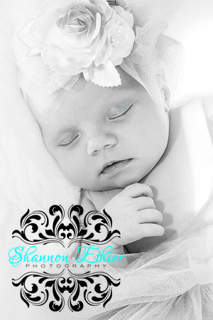 The Ellis Babies May 2018-8443-3