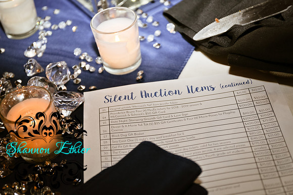 Bourne Education Foundation Denim & Diamonds Event 3.10.2018-9695