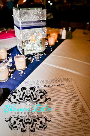 Bourne Education Foundation Denim & Diamonds Event 3.10.2018-9785
