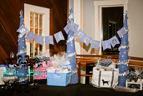 Bourne Education Foundation Denim & Diamonds Event 3.10.2018-9777
