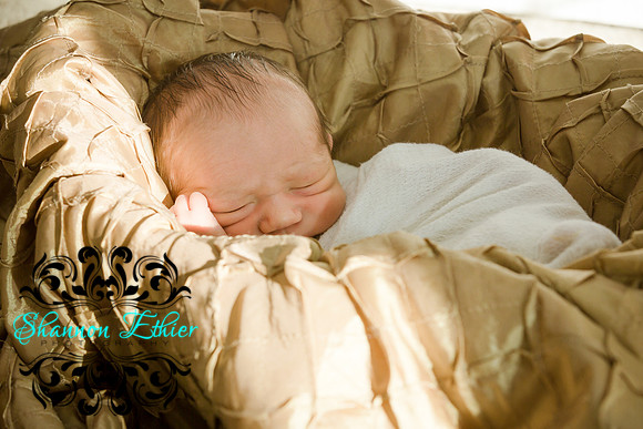 Edited Final Images Pippa and New Baby Reece December 2018-9453