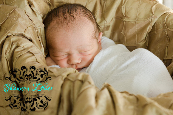 Edited Final Images Pippa and New Baby Reece December 2018-9457
