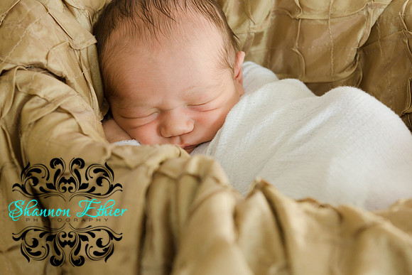 Edited Final Images Pippa and New Baby Reece December 2018-9459-2