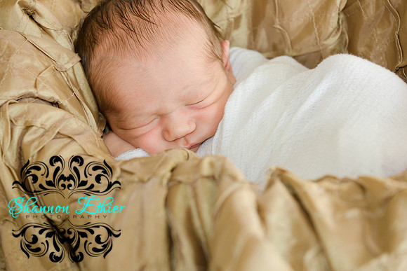 Edited Final Images Pippa and New Baby Reece December 2018-9460