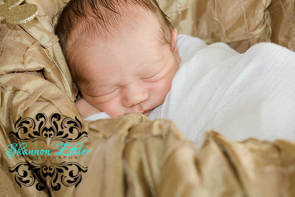 Edited Final Images Pippa and New Baby Reece December 2018-9461