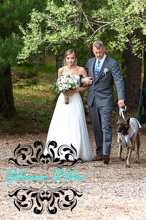 The Bertram Wedding Beginning Ceremony June 2019-8649