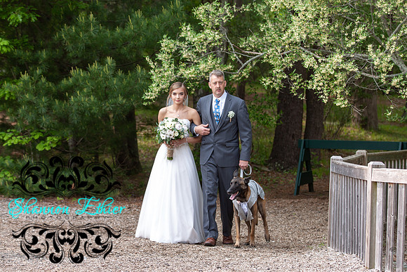 The Bertram Wedding Beginning  Ceremony June 2019-8650