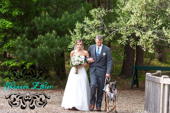 The Bertram Wedding Beginning of The Ceremony June 2019-8651