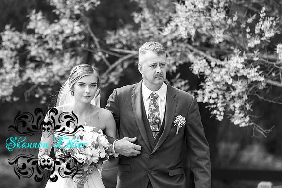 The Bertram Wedding Beginning of The Ceremony June 2019-8653-2