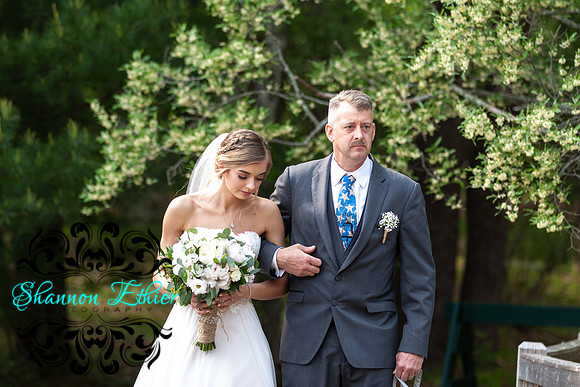 The Bertram Wedding Beginning of The Ceremony June 2019-8652