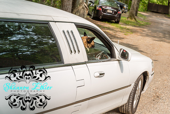 The Bertram Wedding Before Boys Getting Ready June 2019-8463