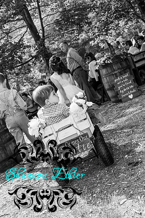 The Bertram Wedding Begin Ceremony June 2019-8636