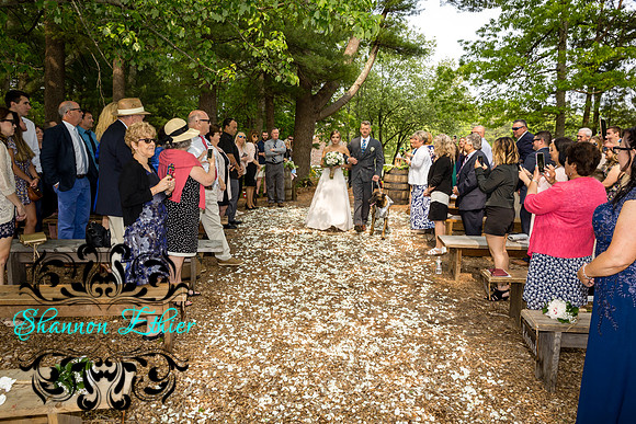 The Bertram Wedding Ceremony in June 2019-8651-3