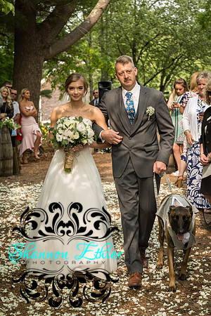 The Bertram Wedding Ceremony in June 2019-8654-3
