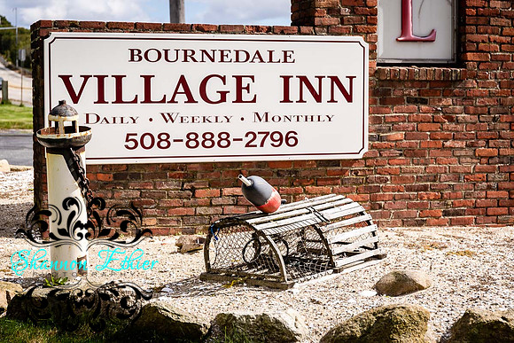 Final WEB IMAGES Bournedale Inn Sherry Flynn 2019-9785