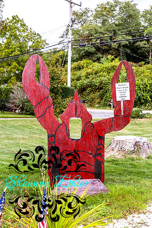 Final WEB IMAGES Bournedale Inn Sherry Flynn-9975