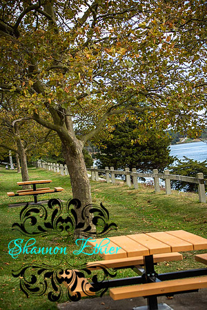 Final WEB IMAGES Bournedale Inn Sherry Flynn-0095