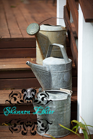 Final WEB IMAGES Bournedale Inn Sherry Flynn-0053