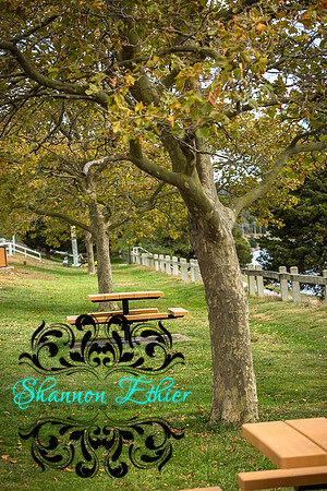 Final WEB IMAGES Bournedale Inn Sherry Flynn-0086