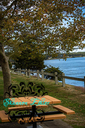 Final WEB IMAGES Bournedale Inn Sherry Flynn-0090