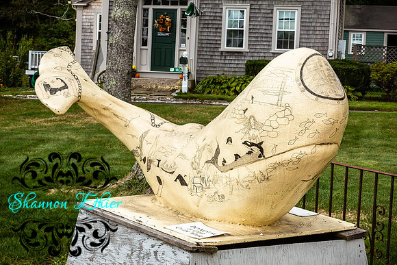 Final WEB IMAGES Bournedale Inn Sherry Flynn-9961