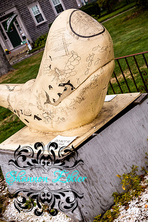 Final WEB IMAGES Bournedale Inn Sherry Flynn-9969