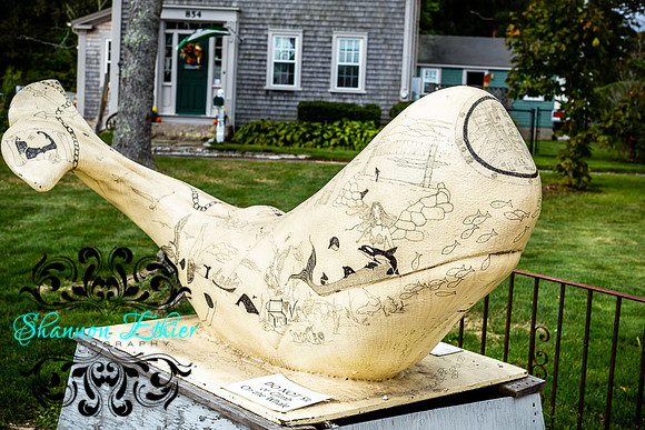 Final WEB IMAGES Bournedale Inn Sherry Flynn-9970