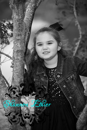 The Carpenito Family Fall 2019 Session-0933-2