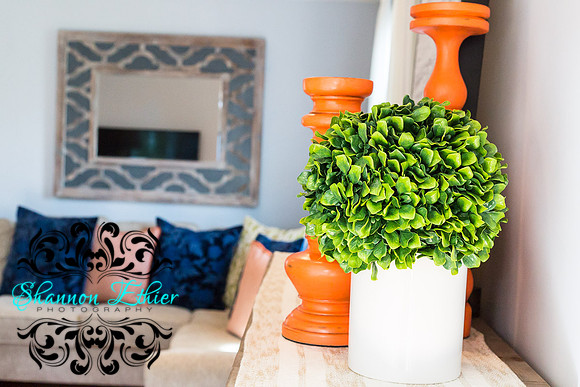 Interiors by Donel Plymouth November 2019-0159
